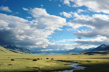 风景优美的蒙古牧场景观背景图片