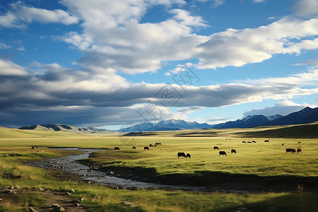 夏季蒙古牧场的美丽景观背景图片