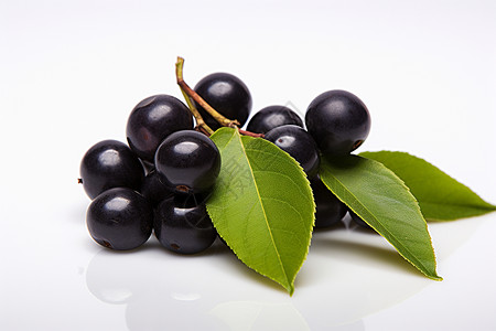 营养丰富的巴西莓浆果背景图片