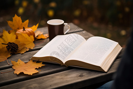 手绘阅读时刻秋日书香的休闲时刻背景