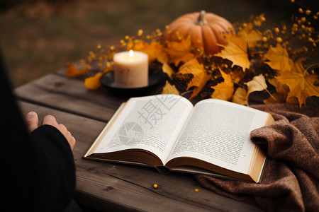 秋季户外的休闲阅读时光背景图片