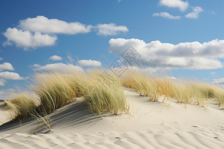 蓝天白云下沙滩背景图片