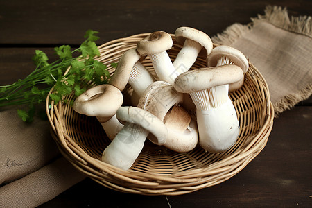 白色健康的蘑菇背景图片