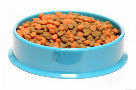 营养狗粮塑料狗碗中的狗粮背景
