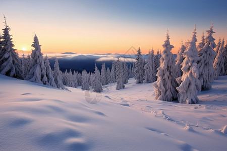 冬日日出的雪景山林背景图片