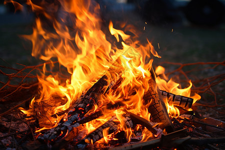 燃烧的林中篝火背景图片
