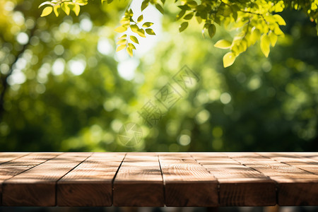 夏日之约夏日公园自然之美背景