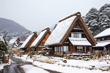 雪中传统农舍背景图片