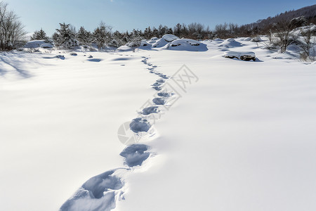 冬季雪地里面的脚印背景图片