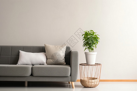 灰色沙发旁的盆栽背景图片