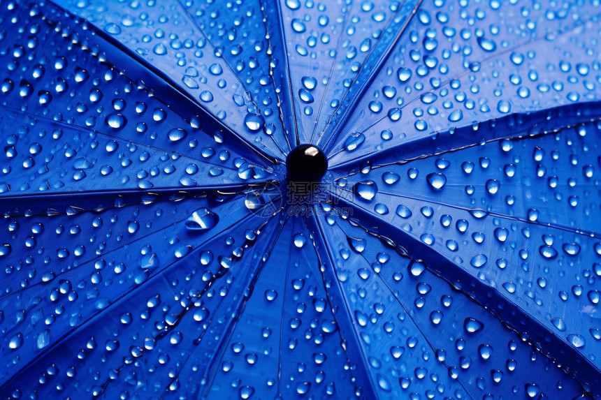 蓝色雨伞上的水滴图片