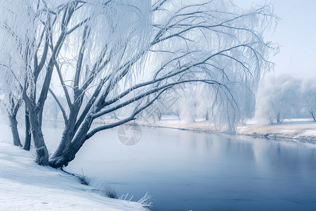 冬季河边河边的霜雪树木背景