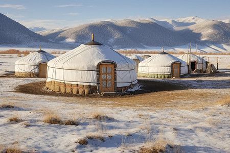冬季草原上的蒙古包背景图片