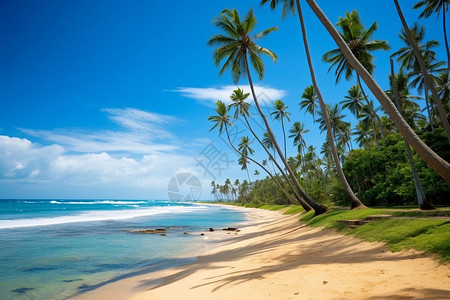 美丽海滩加勒比海岛屿高清图片