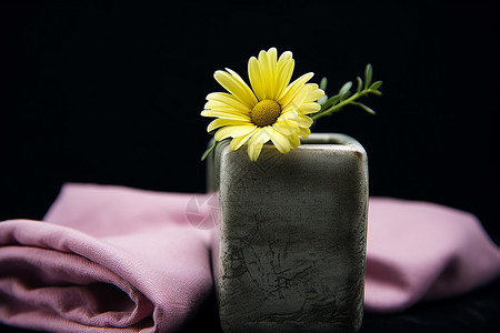典雅花盆中的雏菊装饰背景图片