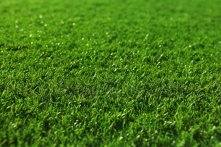 清新的绿色草坪背景图片