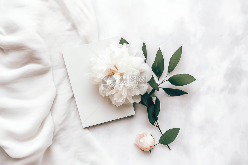 一朵白色花和一本书图片
