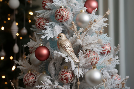圣诞树上的鸟背景图片