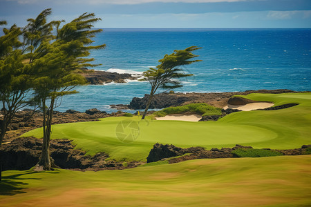 海洋旁边的高尔夫球场背景图片