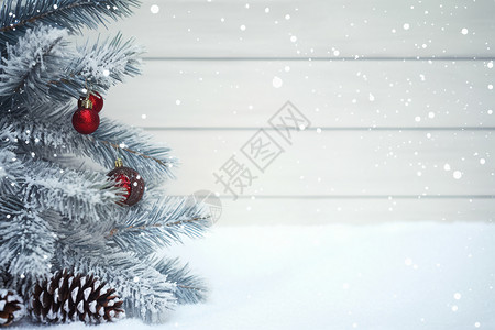 冬季圣诞节背景背景图片