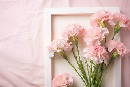 相框中的康乃馨花束背景图片