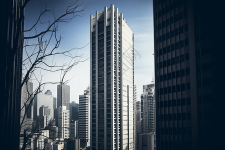城市户外的高楼建筑背景图片