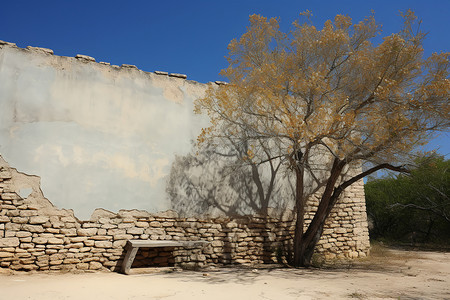 墙壁前的树木和长椅背景图片