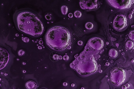 紫色液体显微照片高清图片