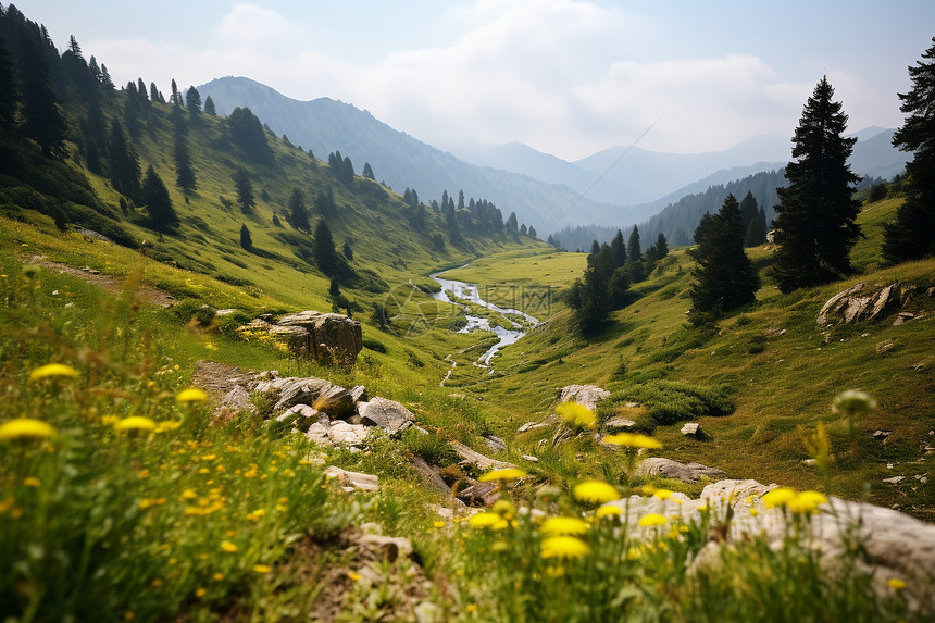 高山流水图片