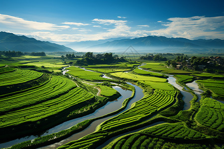 农业灌溉农田的科技灌溉背景