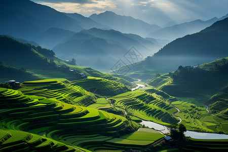 绿色梯田背景图片