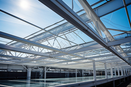 玻璃厂房现代的大型工业温室背景