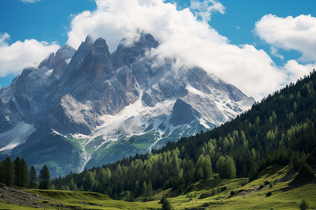 夏季阿尔卑斯山脉的美丽景观高清图片