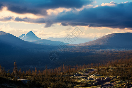 夏季山谷的美丽景观背景图片