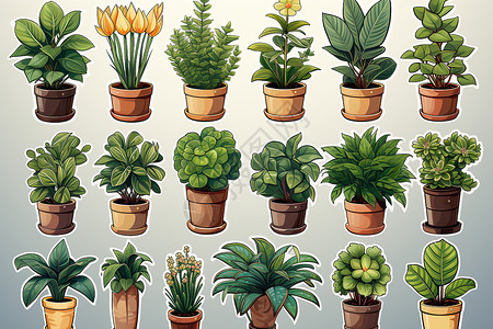 品种多样的绿植装饰盆栽背景图片