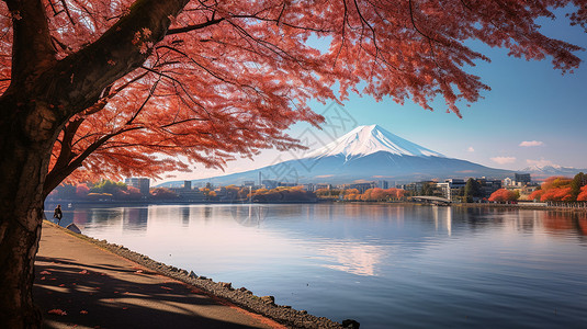 枫叶洒满山间湖畔高清图片