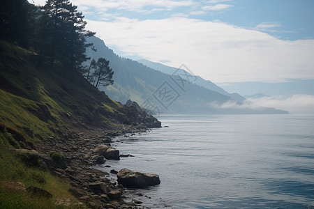 湖岸的自然风景背景图片