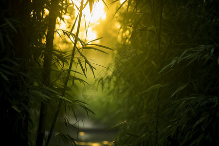 竹林中的河流背景图片