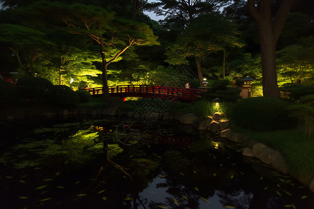 夜晚的池塘和木桥背景图片