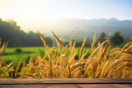 魅力乡村大自然魅力背景