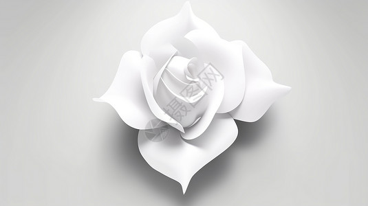 单色的玫瑰花朵背景图片