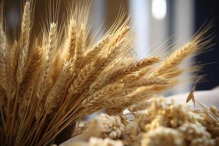 五谷丰登的小麦作物背景图片