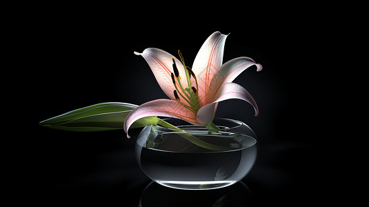 晶莹剔透的百合花背景图片