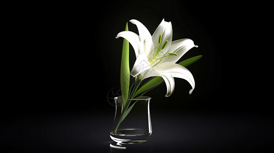 玻璃花瓶中的一朵花朵背景图片