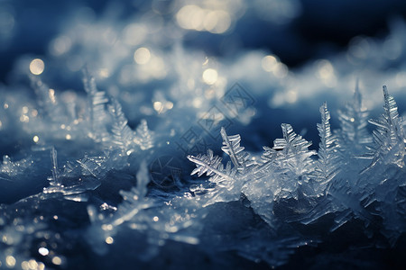 冰晶雪花背景图片