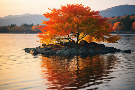 树条墙纸素材秋日山水湖畔背景