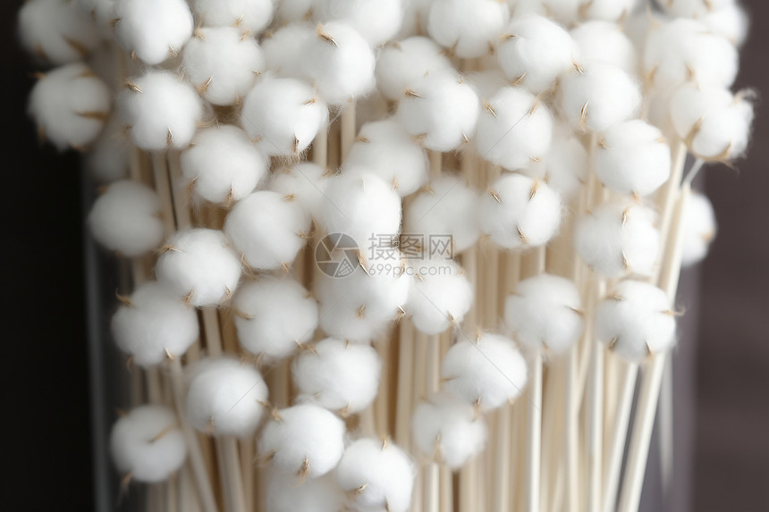 白色棉花球装在竹签上图片