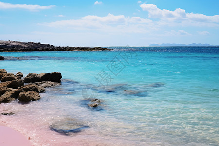 珊瑚粉色粉色沙滩与蓝色海水背景