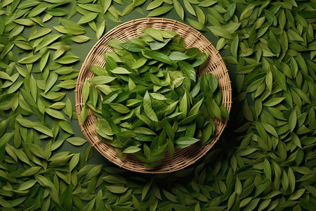 篮子里的绿茶背景图片