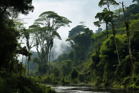 翠绿植物笼罩的河流背景图片